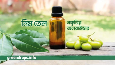 নিম তেলঃ প্রকৃতির অলরাউন্ডার